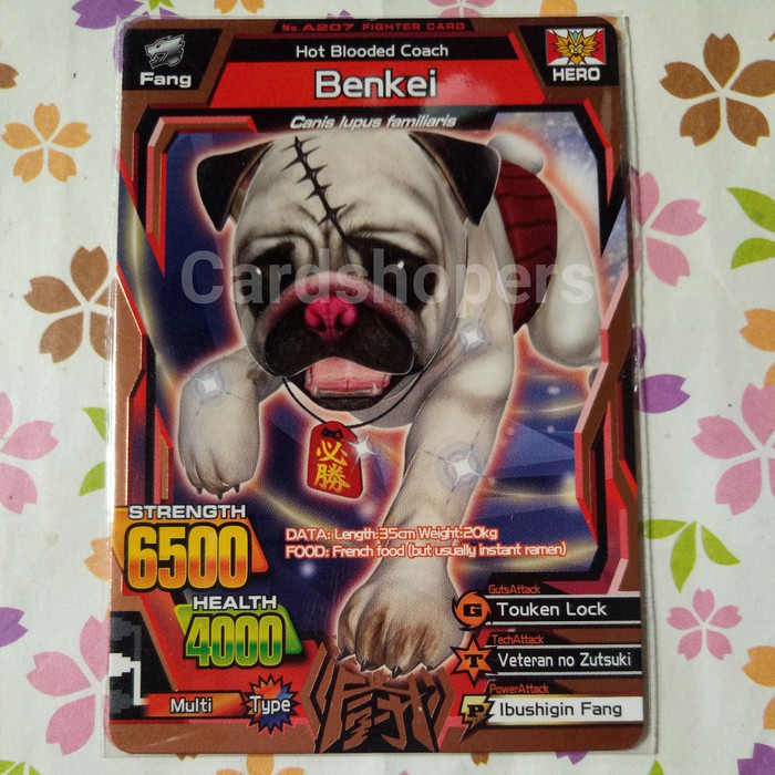 Strong animal kaiser maximum bronze benkei m1