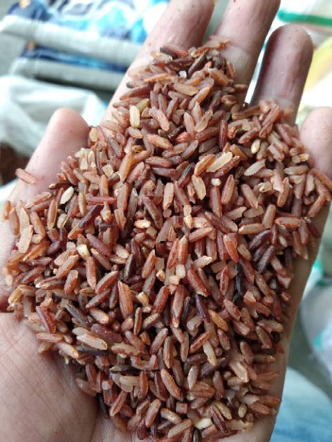 

ADY78 Beras Merah Sosoh 5 Kg