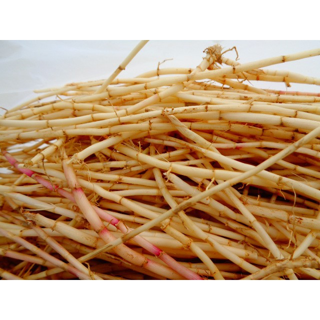 

Aakar Alang Alang Segar 500 gram akar besih super dibesihkan secara teliti