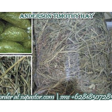 

[COD] Rumput Timothy Hay Import dari USA, Stock Ready Lokasi Surabaya [COD]