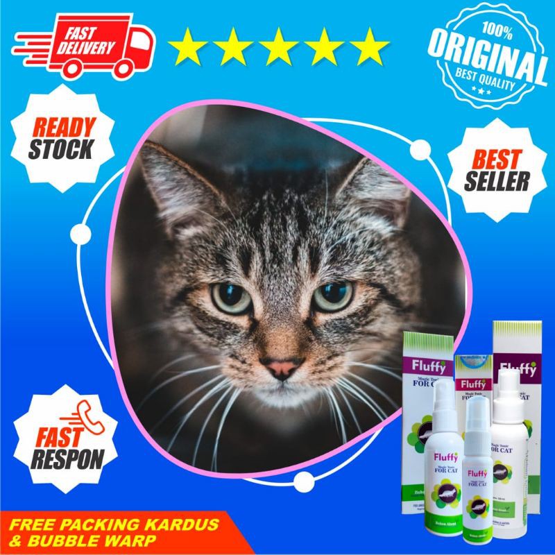Obat Skabies Kucing Ampuh Menggunakan Fluffy Tonic