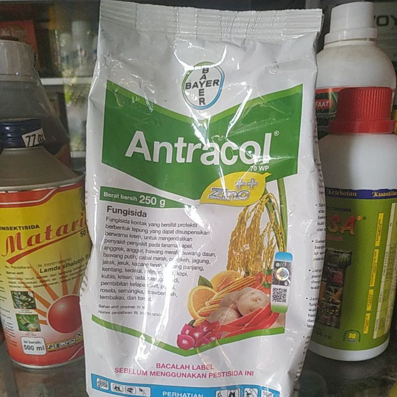 Fungisida Antracol 250 gr