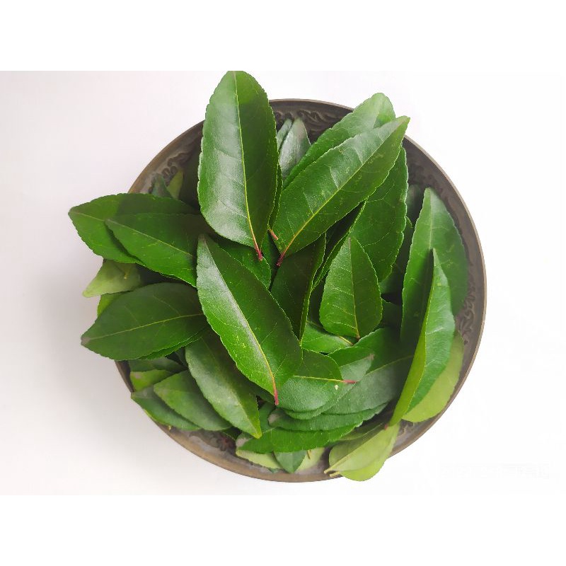 

DAUN KARI DAUN SALAM KOJA DAUN TEMURUI CURRY LEAVES BUMBU MASAKAN 5GR / 5 TANGKAI