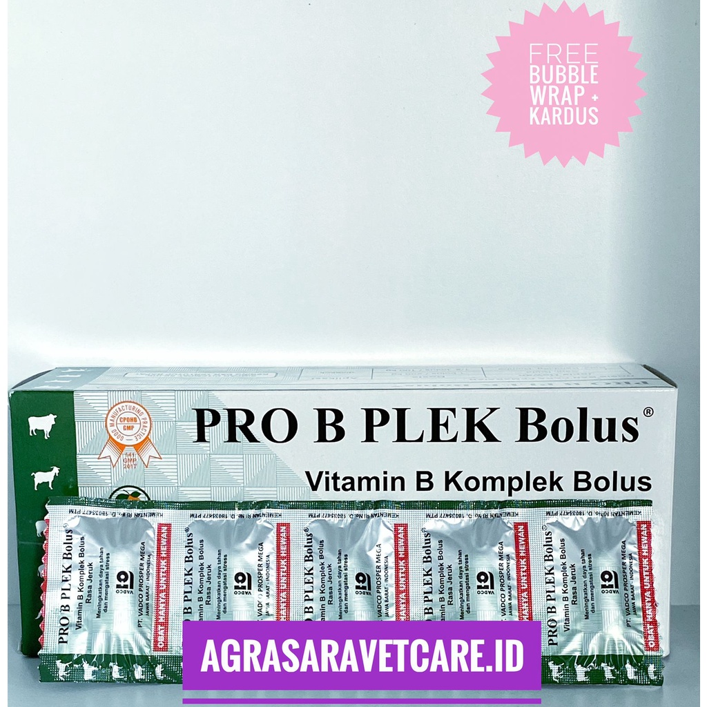 PRO B PLEK 1 BOLUS  - Vitamin B kompleks Hewan BOLUS RASA JERUK