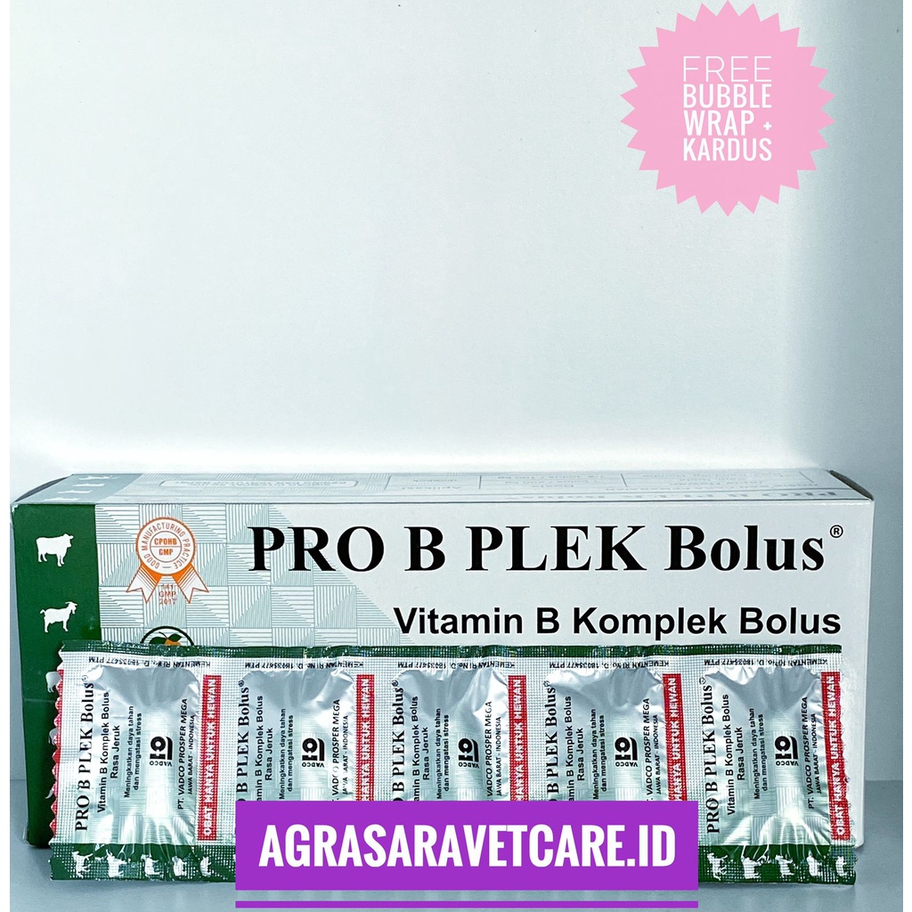 Jual PRO B PLEK 1 BOLUS - Vitamin B Kompleks Hewan BOLUS RASA JERUK ...