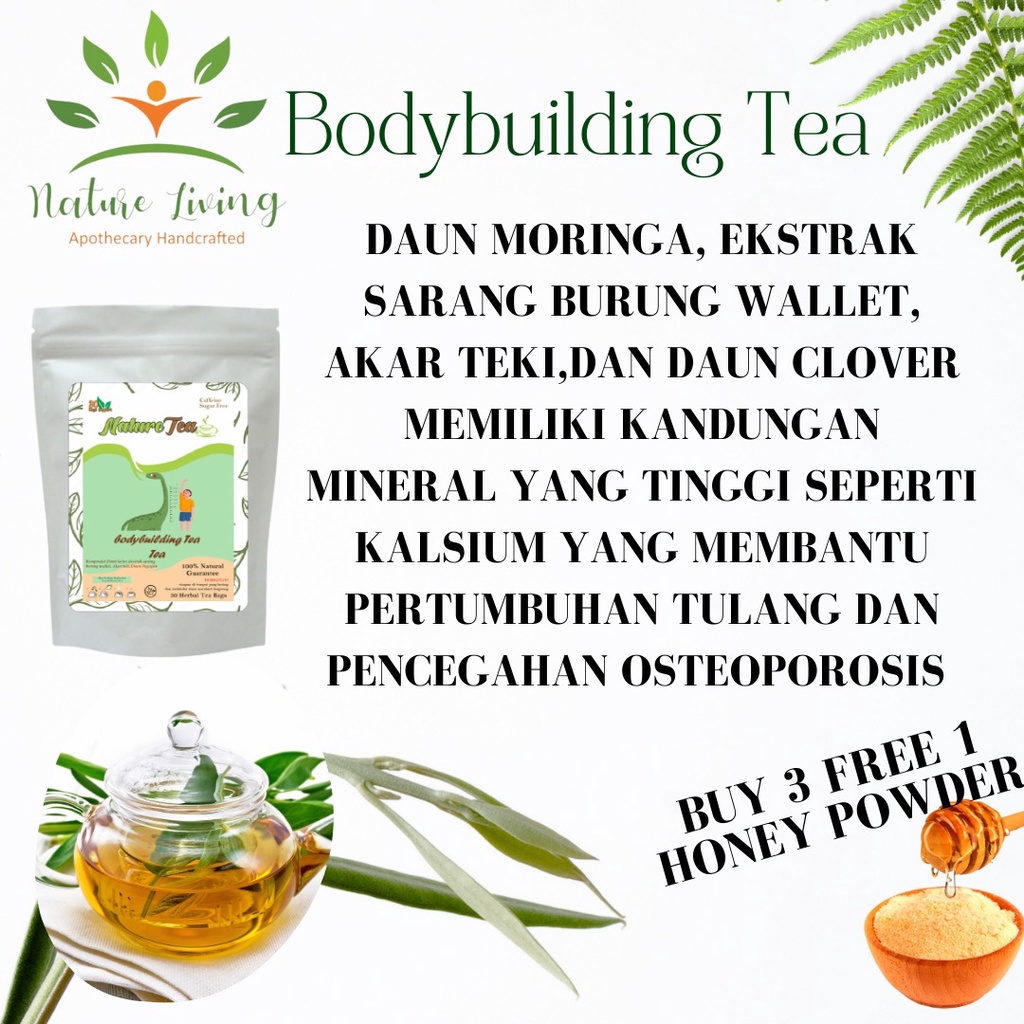 

Premium Teh Celup (Body Building Tea) isi 30 tea bag (kantong teh) - Nature Tea by Nature Living - Teh membantu pertumbuhan tulang dan mencegah osteoporosis