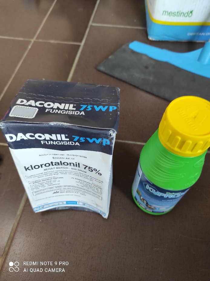 Fungisida Daconil 75 Wp 500 Gram