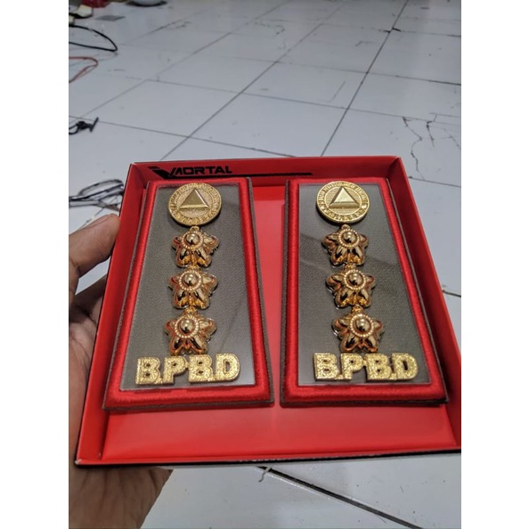 PANGKAT BPBD 4B - PANGKAT BPBD GOLONGAN 4B