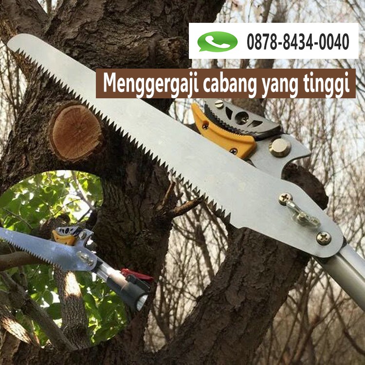 Tree Pruner Galah Tongkat Pemotong Gergaji Gunting Dahan Ranting Tarik