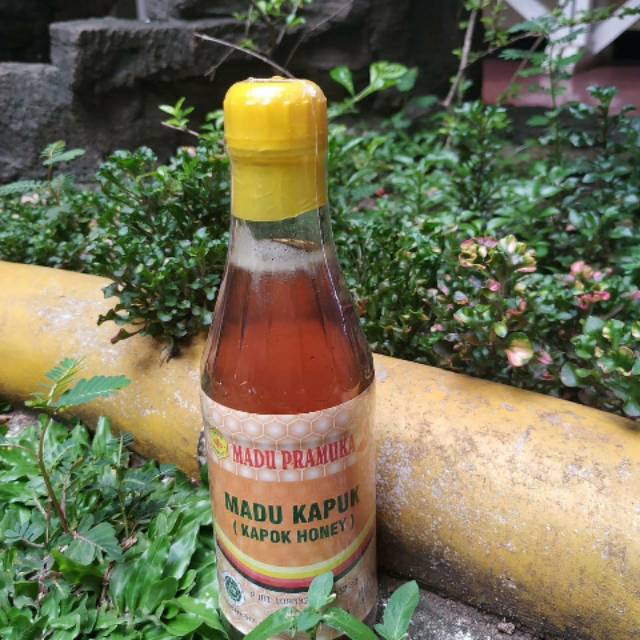 

Madu Kapuk merk Madu Pramuka