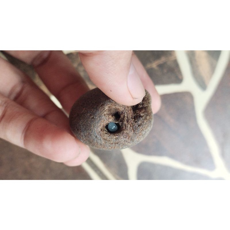 mustika tawon tapa sir alam asli temuan sepuh kuno antik pusaka