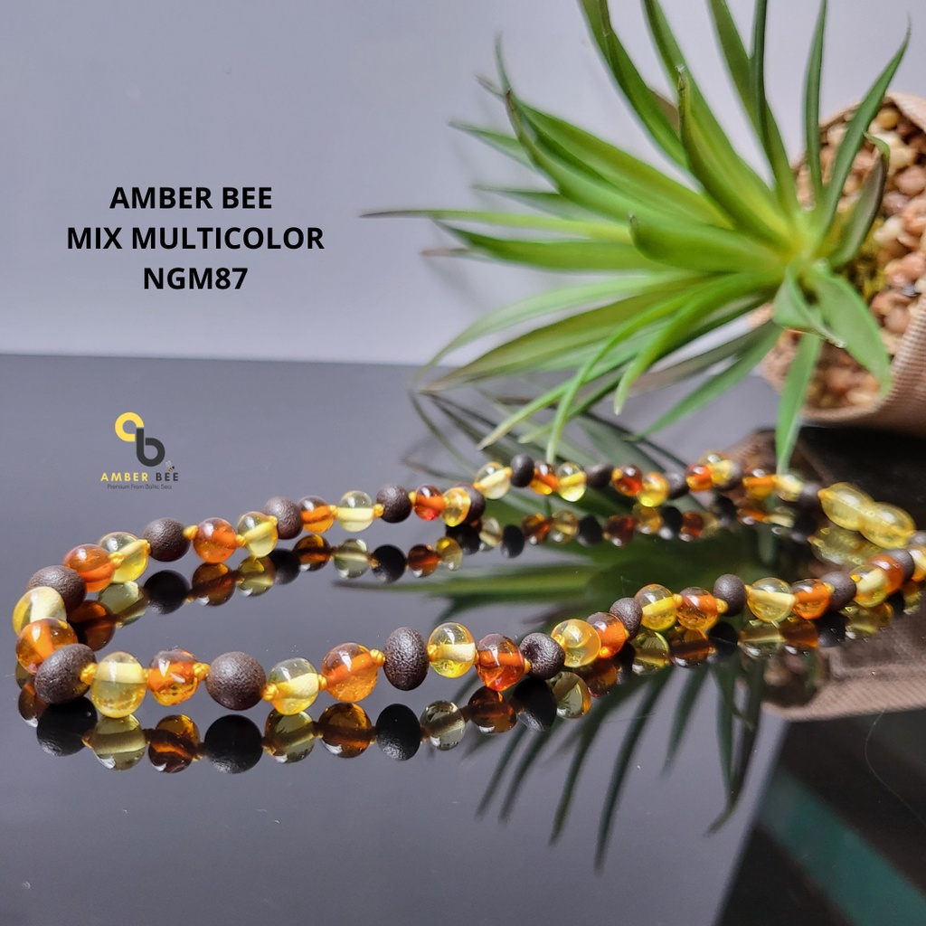 Kalung Gelang Amber ORI Baltic Anak Premium Glossy Multicolor NGM87
