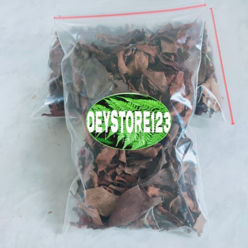 

Jual benalu alfukat kering organik per bungkus