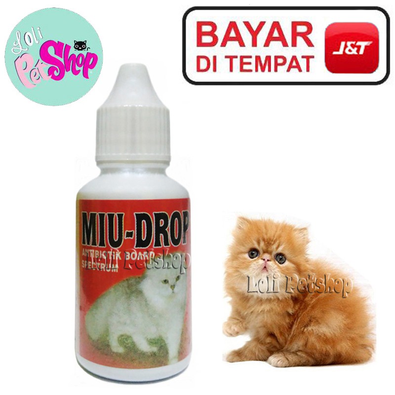 ANTIBIOTIK KUCING OBAT FLU SAKIT DEMAM PANAS KITTEN MIU DROP