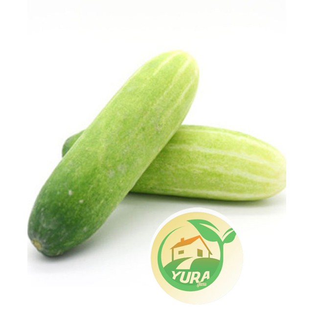 

TIMUN Organik 100% Sayur Segar Organic