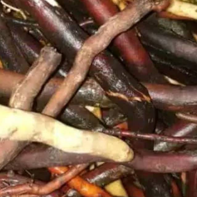 

Jual akar pinang fresh segar murah