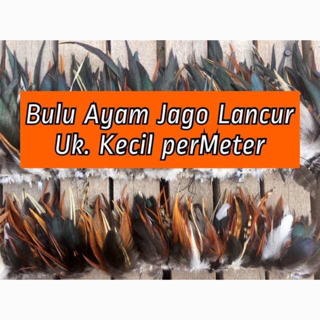 Bulu Ayam Jago Lancur Uk.Kecil dijual perMeter