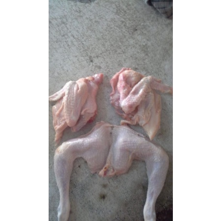 

Ayam pejantan/Ayam Jantan/Ayam Kalasan (800gram) HIDUP