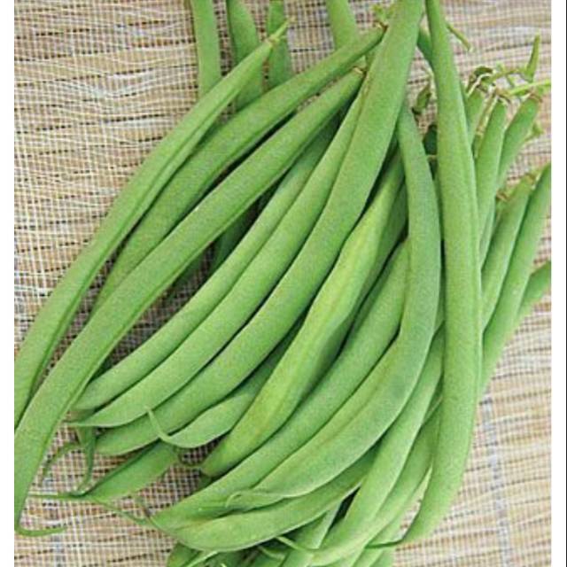 

Buncis Segar 250 gram | Sayuran Segar | Bumbu Masak Bumbu Dapur