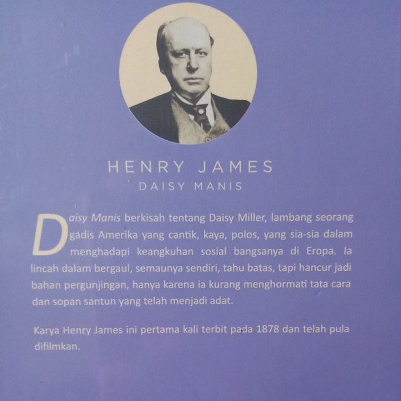 Novel Henry James / Daisy Manis