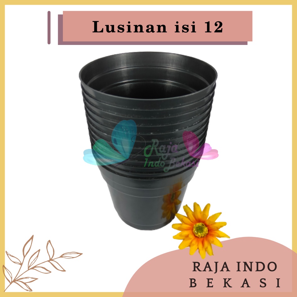 Rajaindobekasi Lusinan Pot 12 Cm Hitam Polos - Pot 12 Hitam Kecil Mini Minimalis Plastik Kaktus Sukulen Mini Murah Pot Bibit Pembibitan - Pot 12 Cm Grosir Lusinan