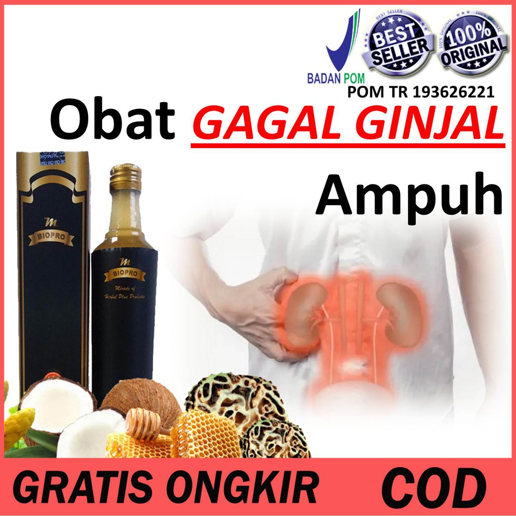 Obat gagal ginjal kronis - Obat Herbal Penghancur Batu Ginjal Ampuh Infeksi Radang Gagal ginjal 100%