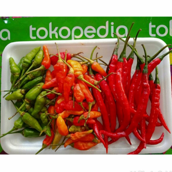 

Paket Cabe Campur Berkualitas