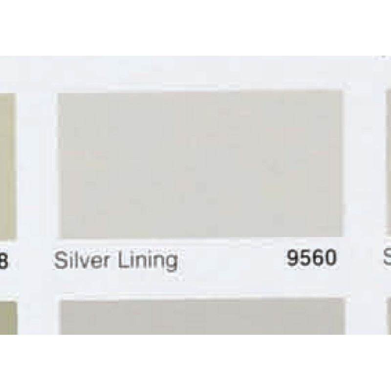 Nippon Paint Weatherbond Silver Lining 9560 Tinting Galon / Weatherbond