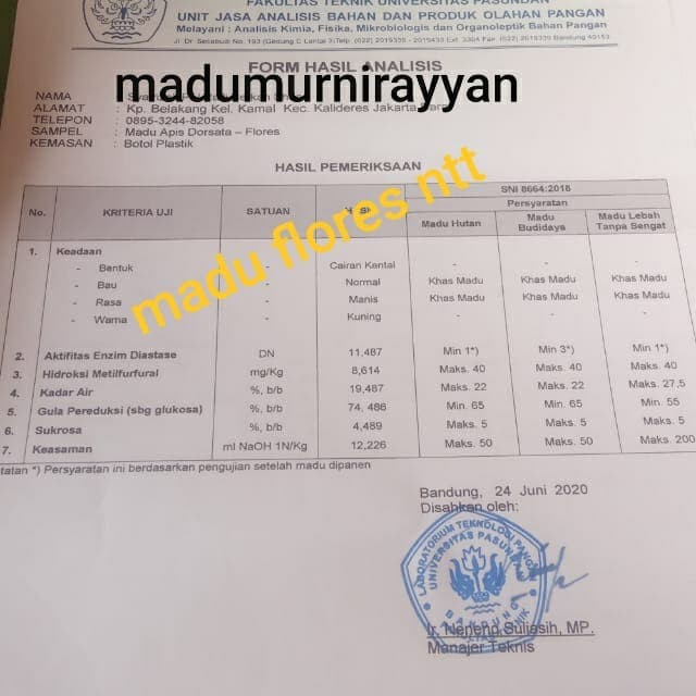 

nh201dd Madu Hutan Flores Ntt Asli 100% Ds201Fs