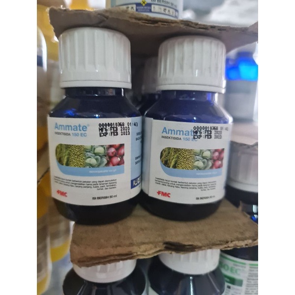 Insektisida Ammate 100 ml
