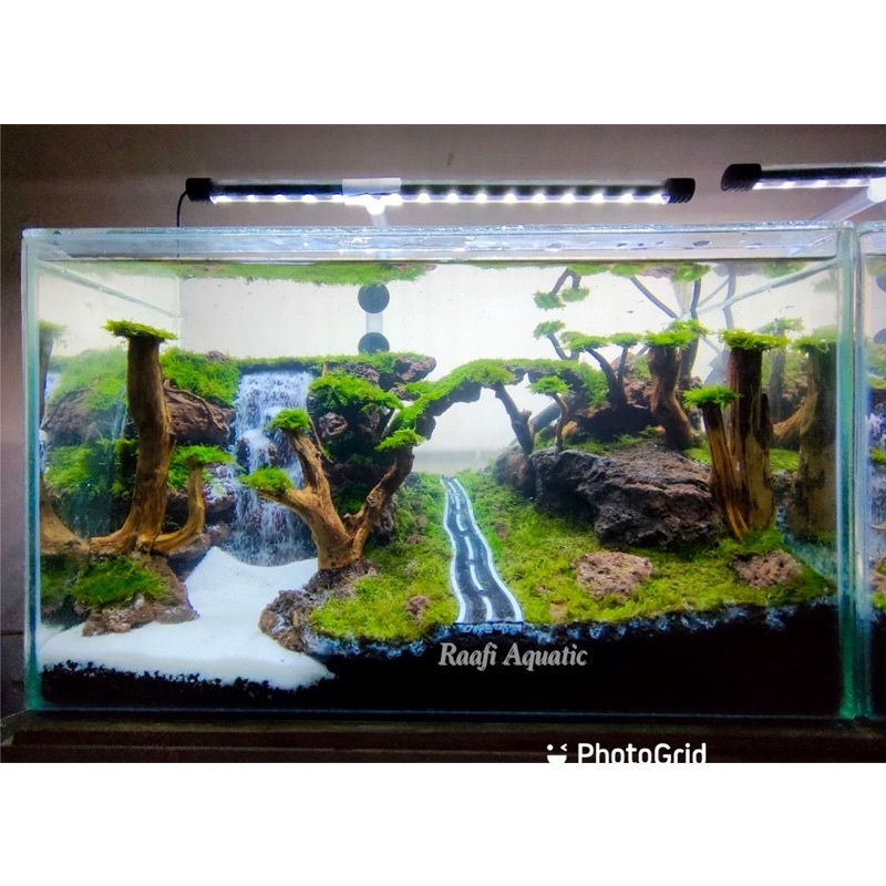 aquarium aquascape air terjun