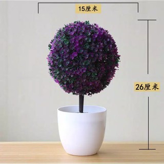 [LOKAL] POKY - Ornamen Tanaman Pohon Bonsai Artificial Flower Decoration Pot Bunga