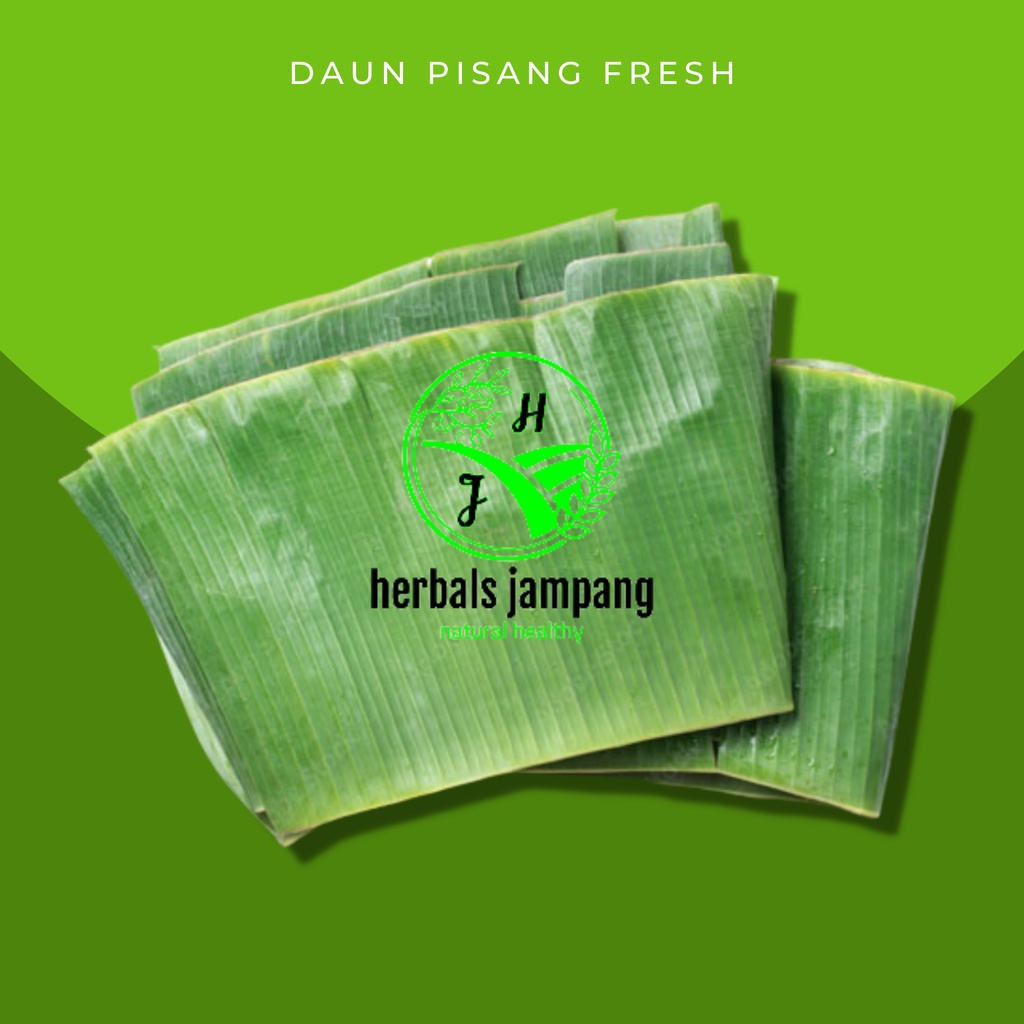 

daun pisang kelutuk segar pembungkus makanan alami Daun Pisang segar langsung ambil dari kebundijual perikat Daun Pisang Segar Daun Pisang Fresh Untuk Pembungkus makanan daun pisang segar untuk pembungkus makanan saat order langsung ambil dari kebun