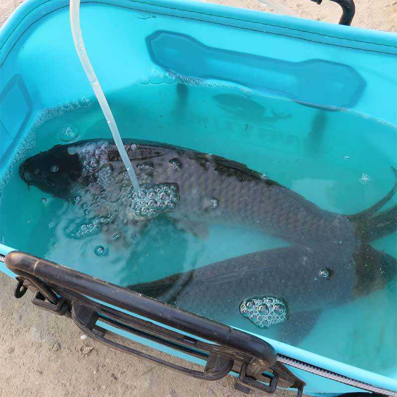 TaffSPORT Tas Perlengkapan Memancing Fishing Bucket 60CM - JY0210 ( Mughnii )