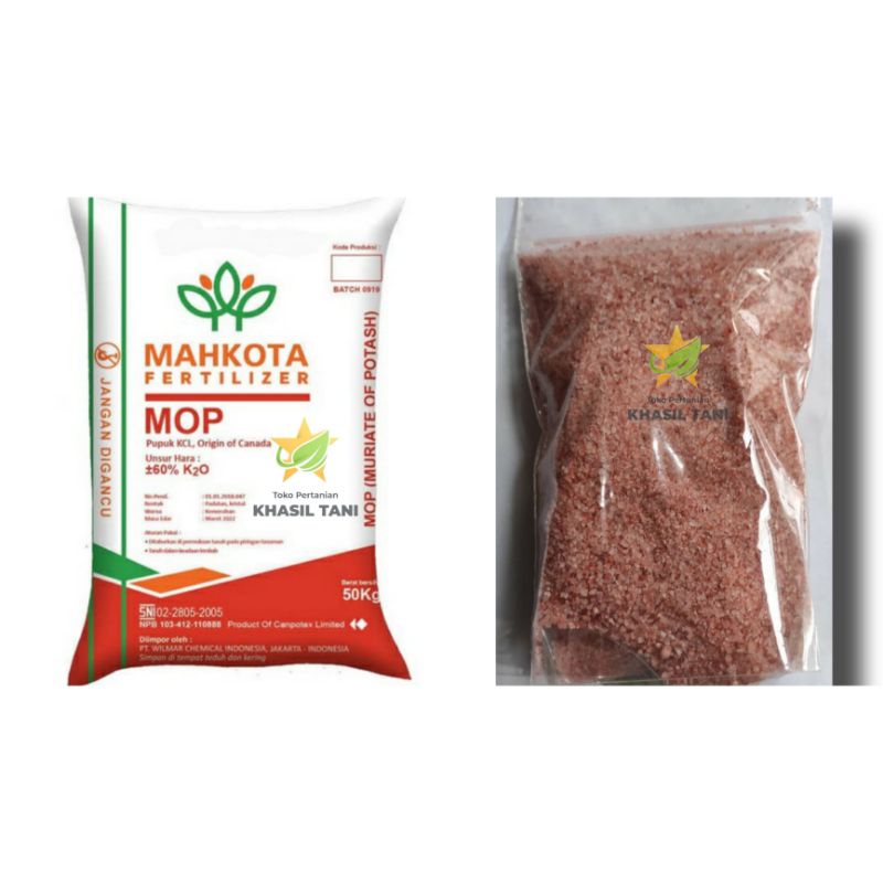 MAHKOTA FERTILIZER Repack 1kg Pupuk KCL ORIGIN OF CANADA