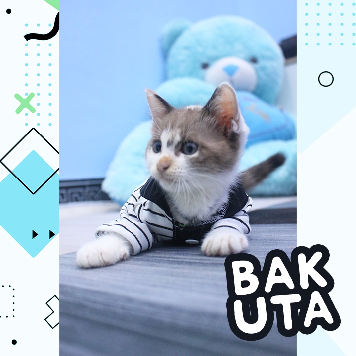 Kaos Lengan panjang polo No Motif #3404 / Baju Kucing tangerang murah / baju kucing lucu size S-XL