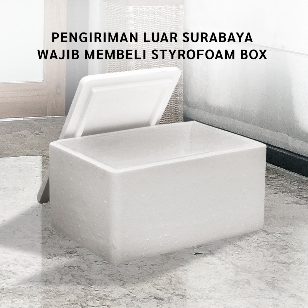 

Styrofoam Box (WAJIB BELI UNTUK PENGIRIMAN KE LUAR SURABAYA)