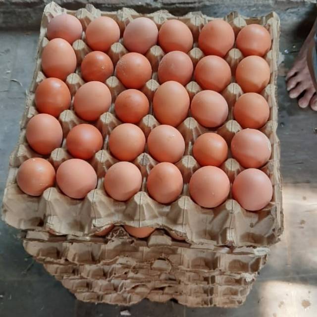 

Telur ayam Negri
