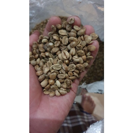 

biji kopi robusta