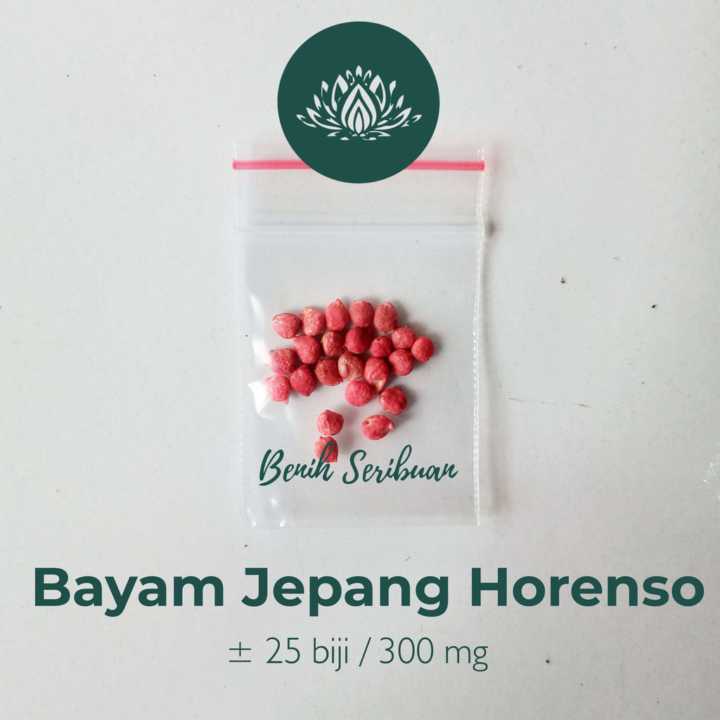 25 Bibit Bayam Jepang F1 Hibrida Horenzo Benih Sayuran Super Horenso Alrite Tanaman Sayur Unggul