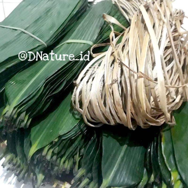 

Daun Bambu Segar Pembungkus Bacang (Ikat/30 Daun)