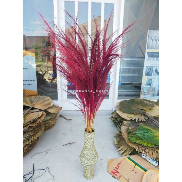 Pampas Rayung warna dekorasi rustic