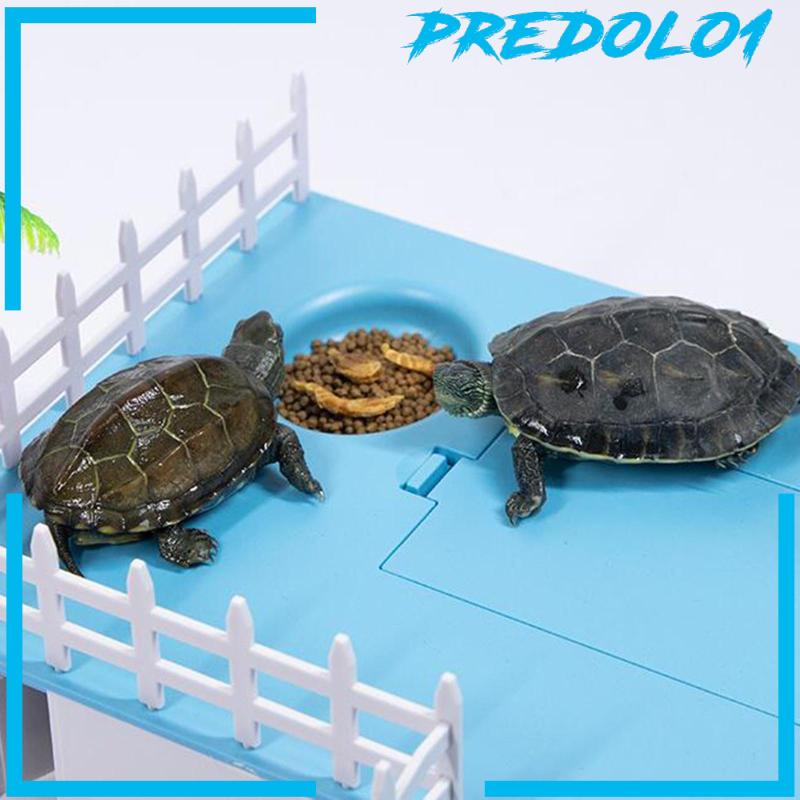 (Predolo1) Platform Tempat Berjemur Reptil / Kura-Kura / Katak Bentuk Persegi Panjang