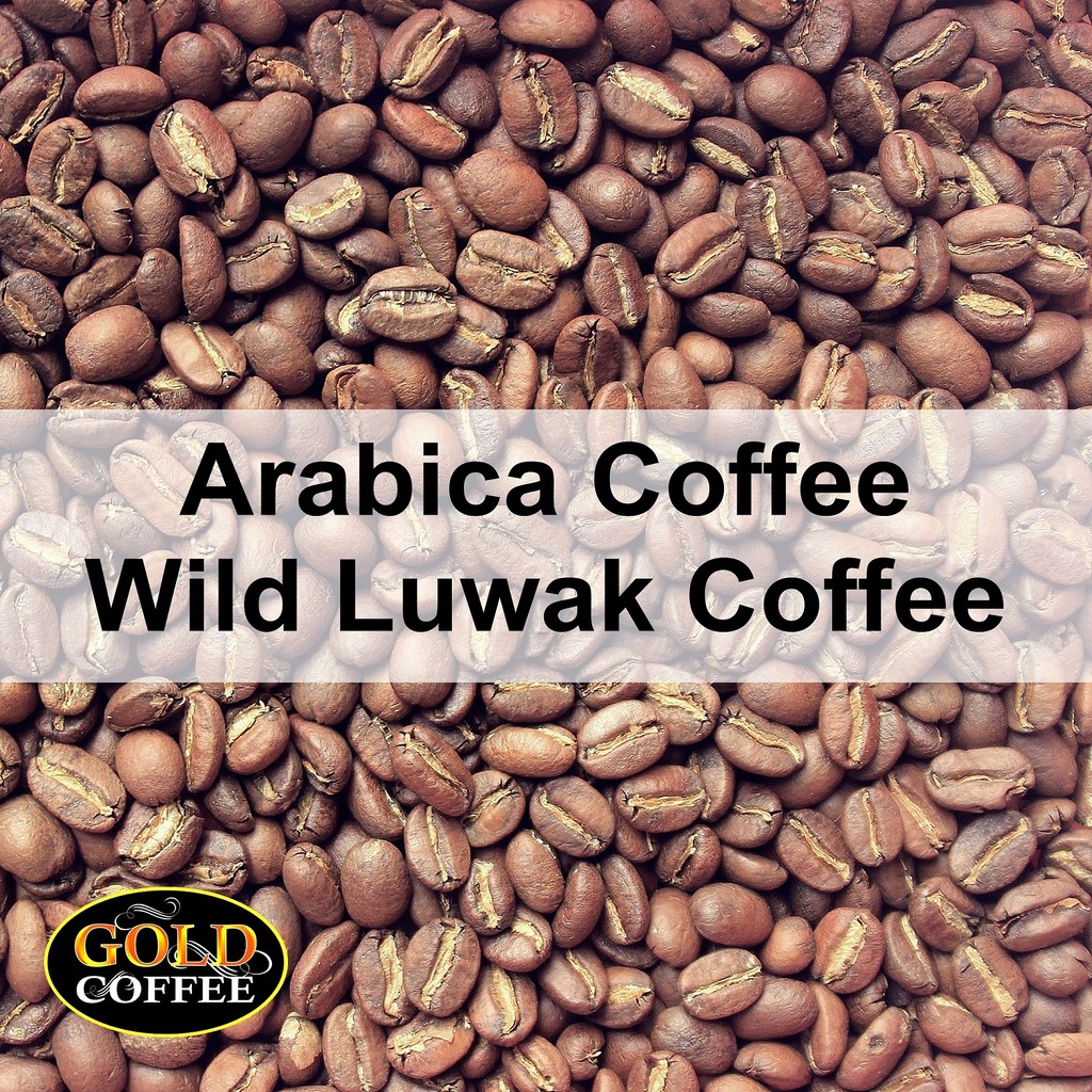 

Kopi Luwak Liar Roast Bean 100 gr