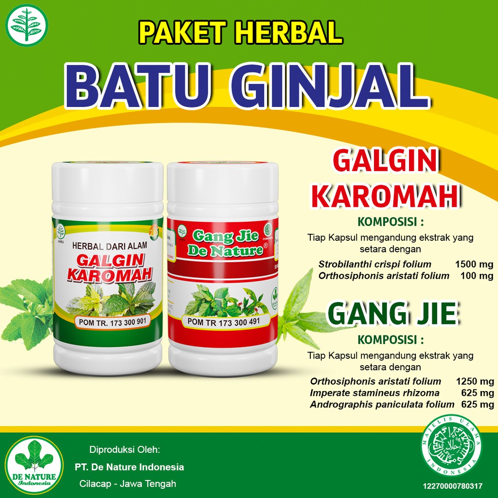 Gangjie Galgin Karomah Gang Jie De Nature Obat Batu Ginjal Kencing Batu Penghancur Batu Ginjal Denat