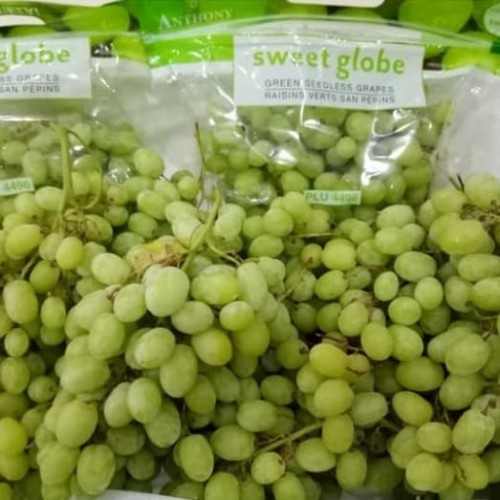 

Anggur Hijau manis segar fresh murah