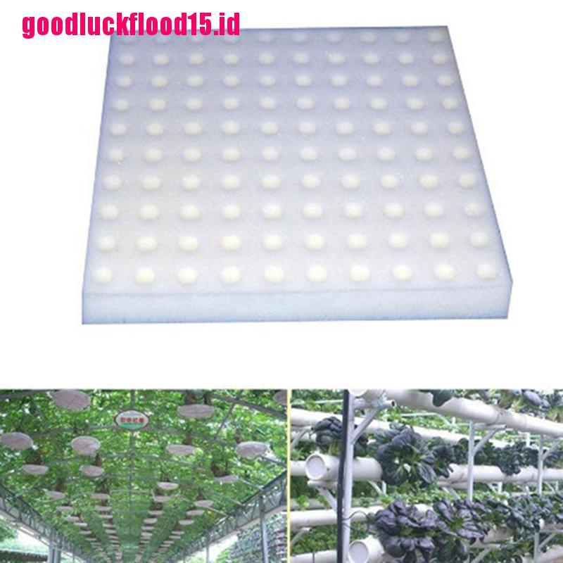 {LUCKID}100 Pcs Soilless Hydroponic Vegetables Nursery Pots Nursery Sponge Culture