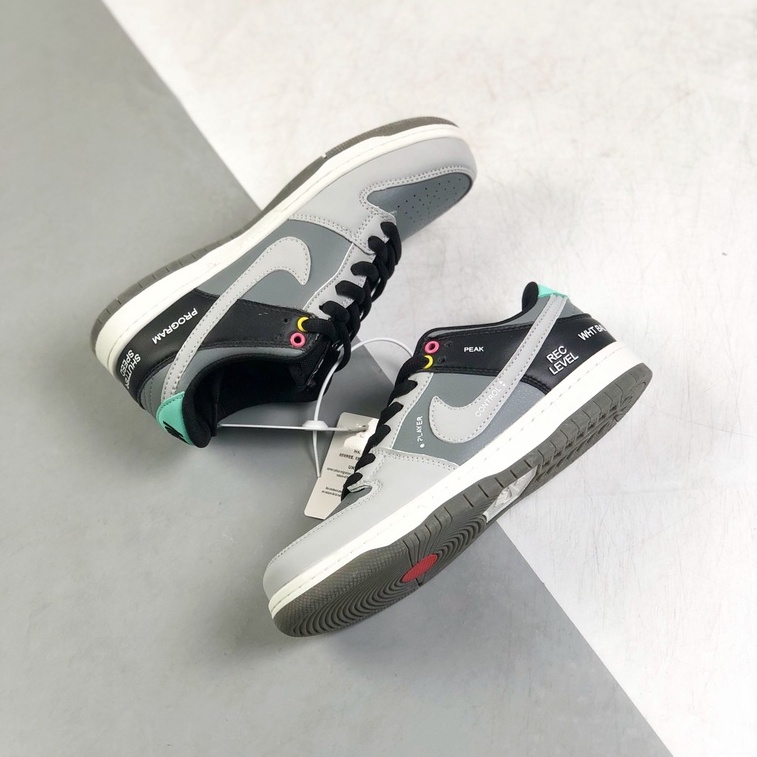 dunk low pro camcorder