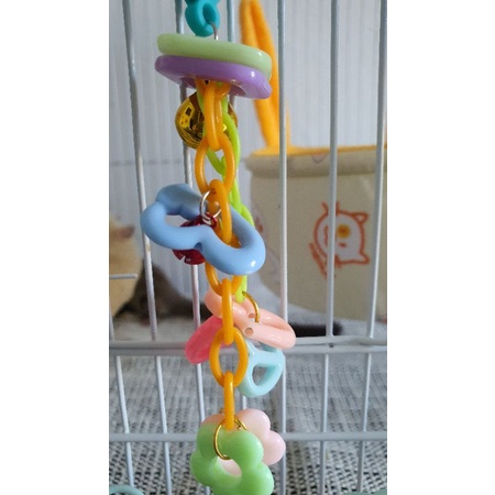 kunci kandang cage lock sugar glider