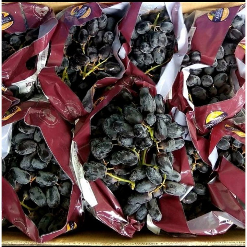 

Anggur Hitam Midnight Australia Citra Segar Sehat per Box 9,5 kg